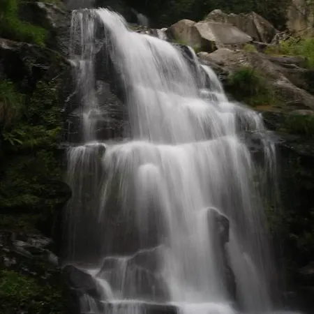 Quinta Do Fundo De Vila *
