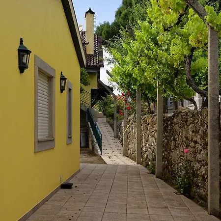 乡村民宿 Quinta Do Fundo De Vila Ribeiradio