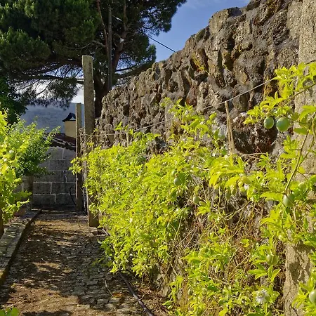 乡村民宿 Quinta Do Fundo De Vila *