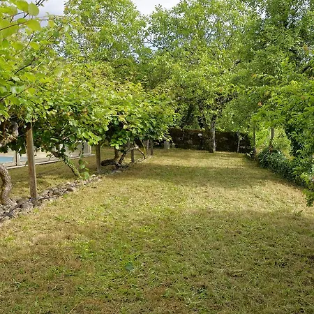 乡村民宿 Quinta Do Fundo De Vila