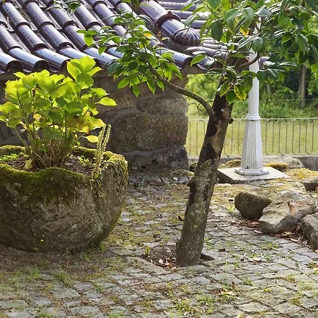 Quinta Do Fundo De Vila