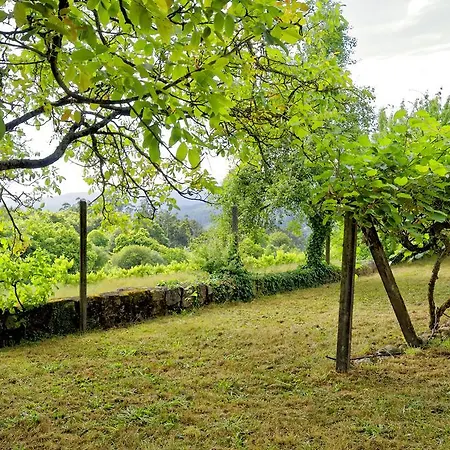 Quinta Do Fundo De Vila 乡村民宿 Ribeiradio